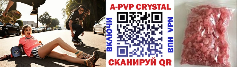 Альфа ПВП СК КРИС Кингисепп