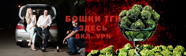 молекула духа Белокуриха