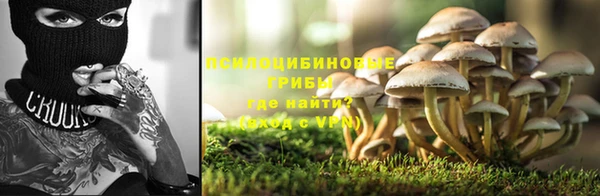 спайс Богданович