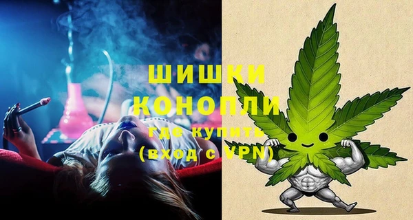 молекула духа Белокуриха